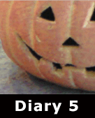 LOS DIARY 5